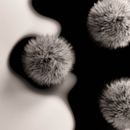 drei Bälle aus Fell mit abstraktem Schattenwurf